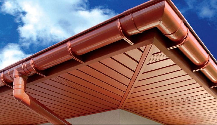 карнизний звіс