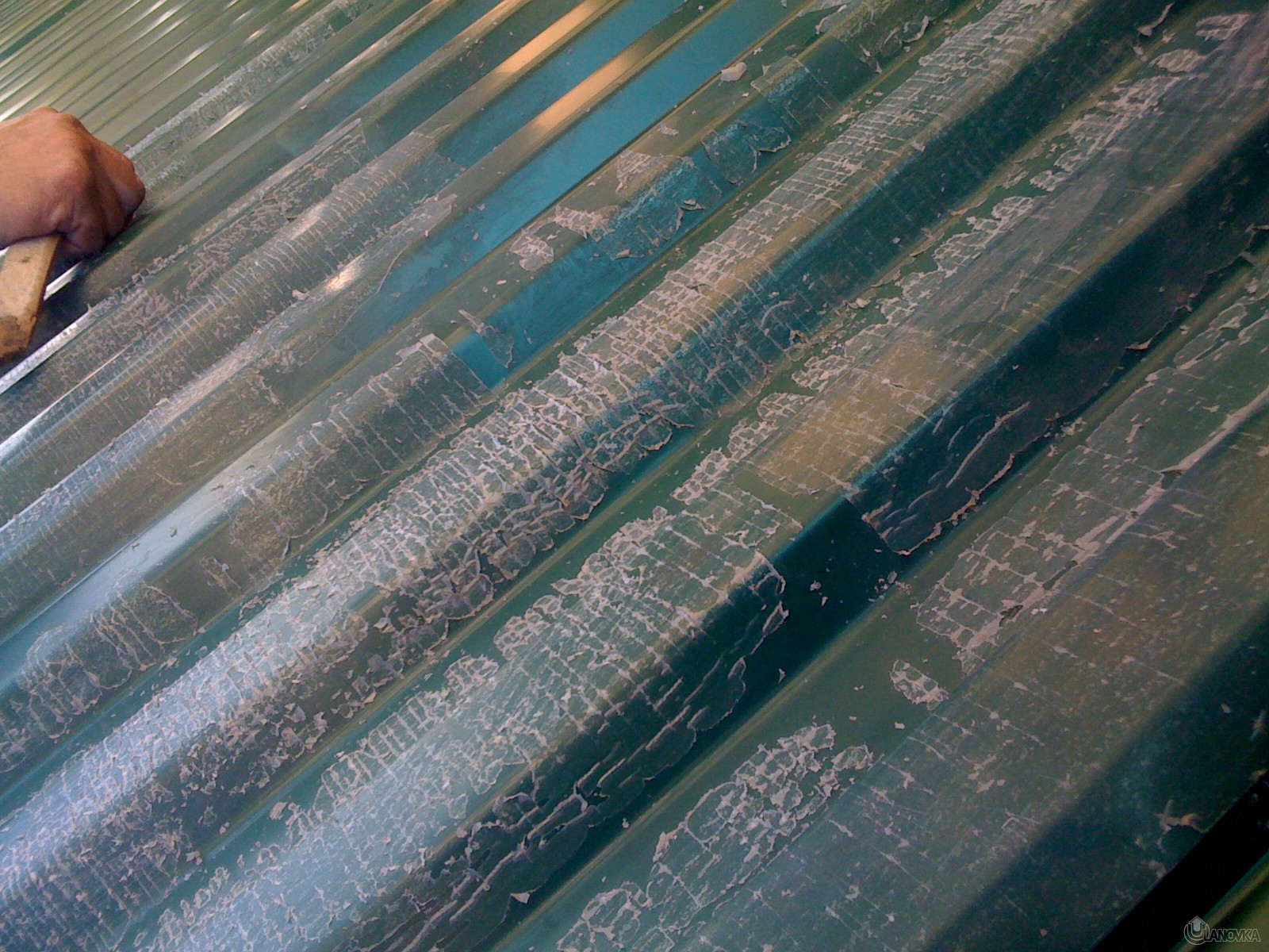 стара плівка на профлисті